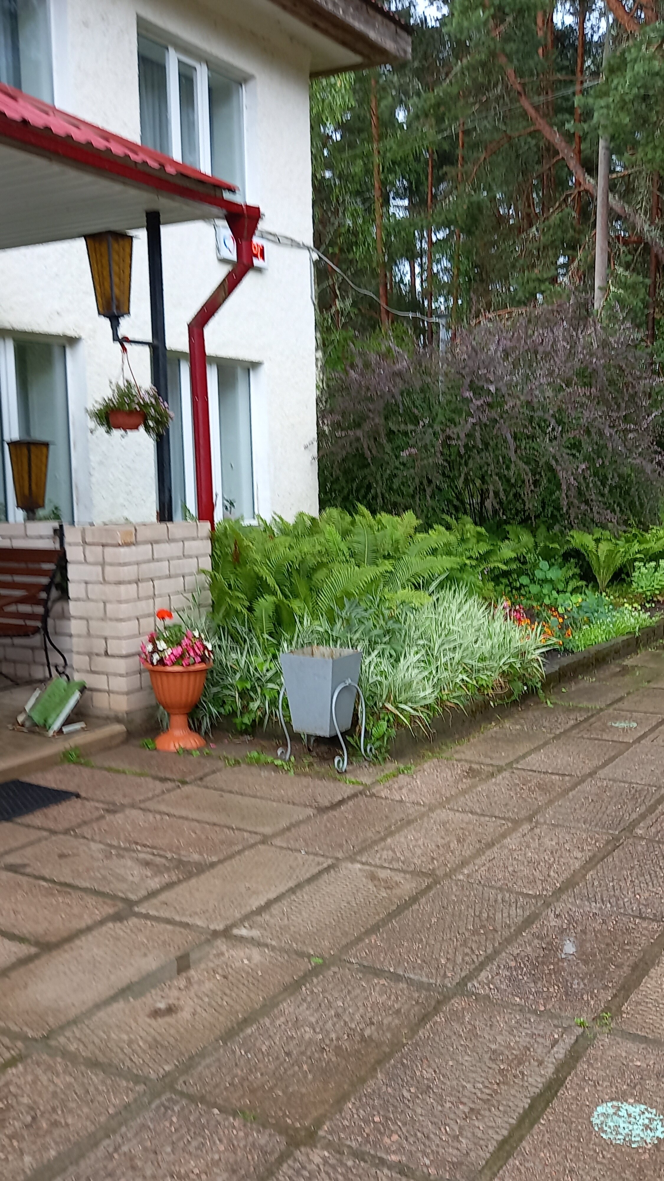 Фото Череха