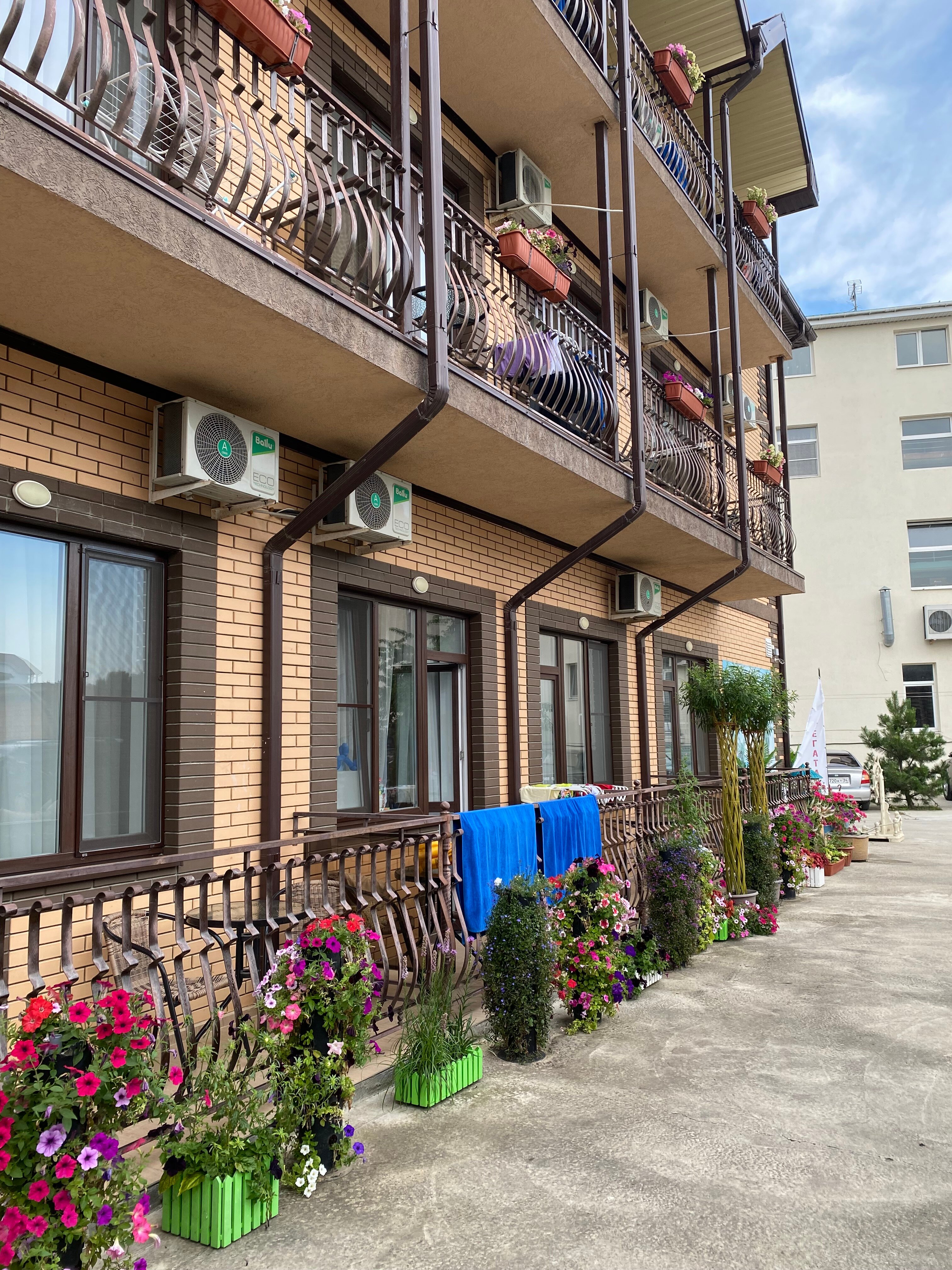 Фото Регата