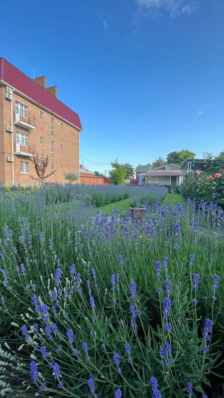 Фото Крыжовник