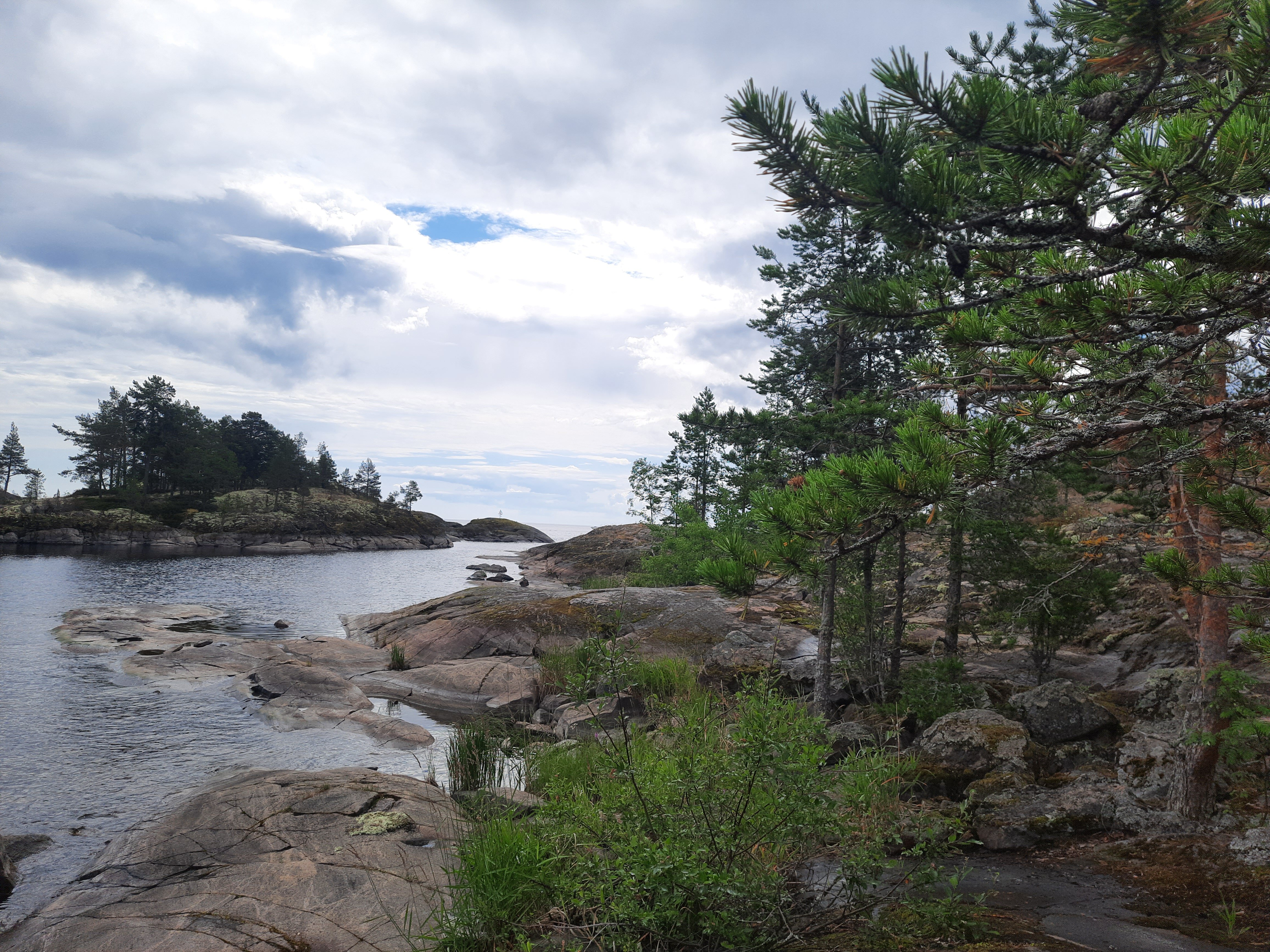 Фото Forest Park