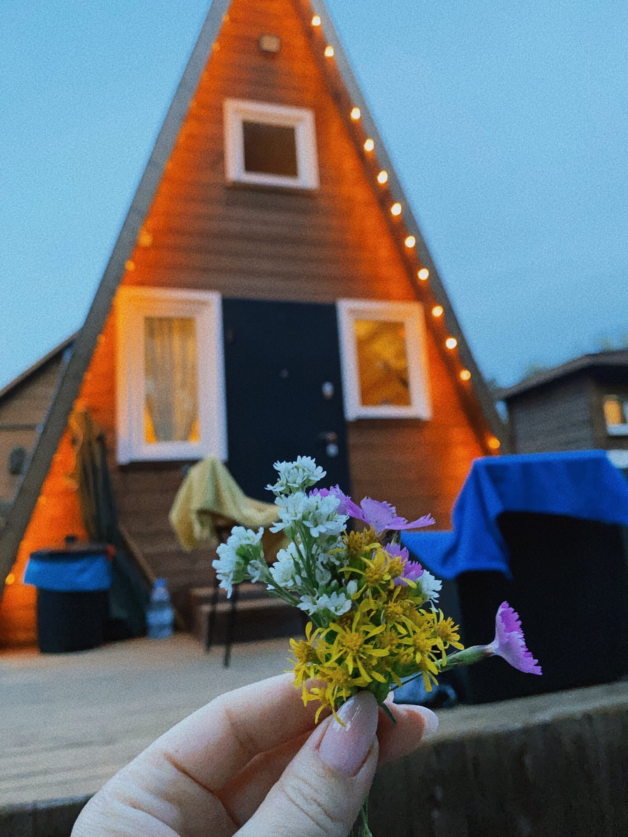 Фото Домик Лесника