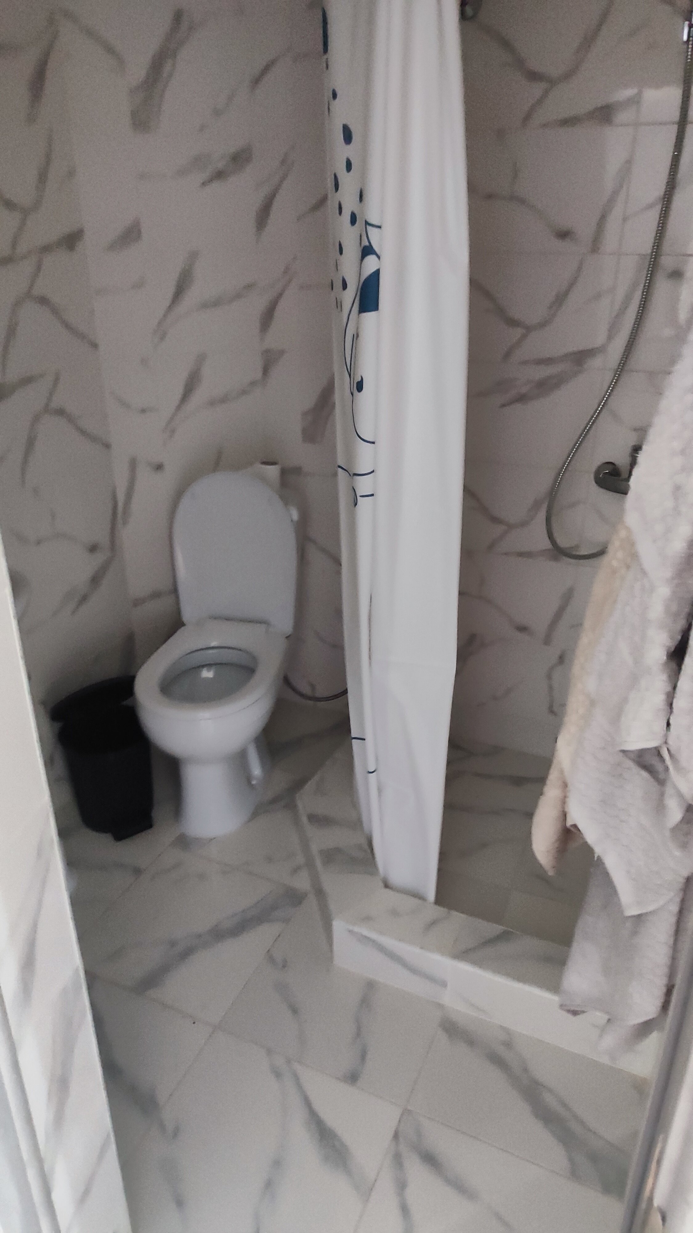 Фото Морская Звезда