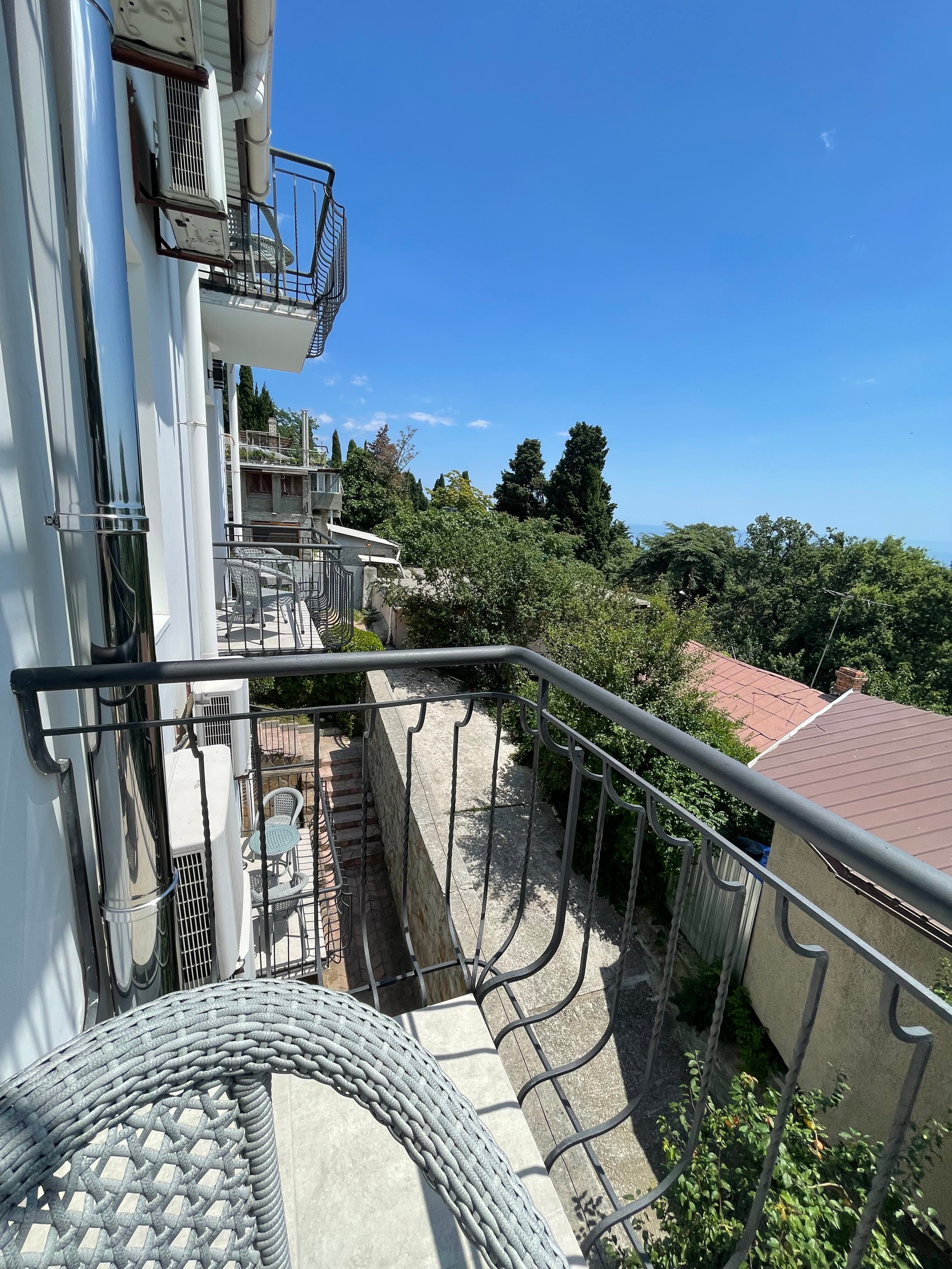 Фото Южный Кедр