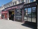 Адель (mikrorayon Novy gorod, ulitsa Stanislavskogo, 52Бк2), maternity store