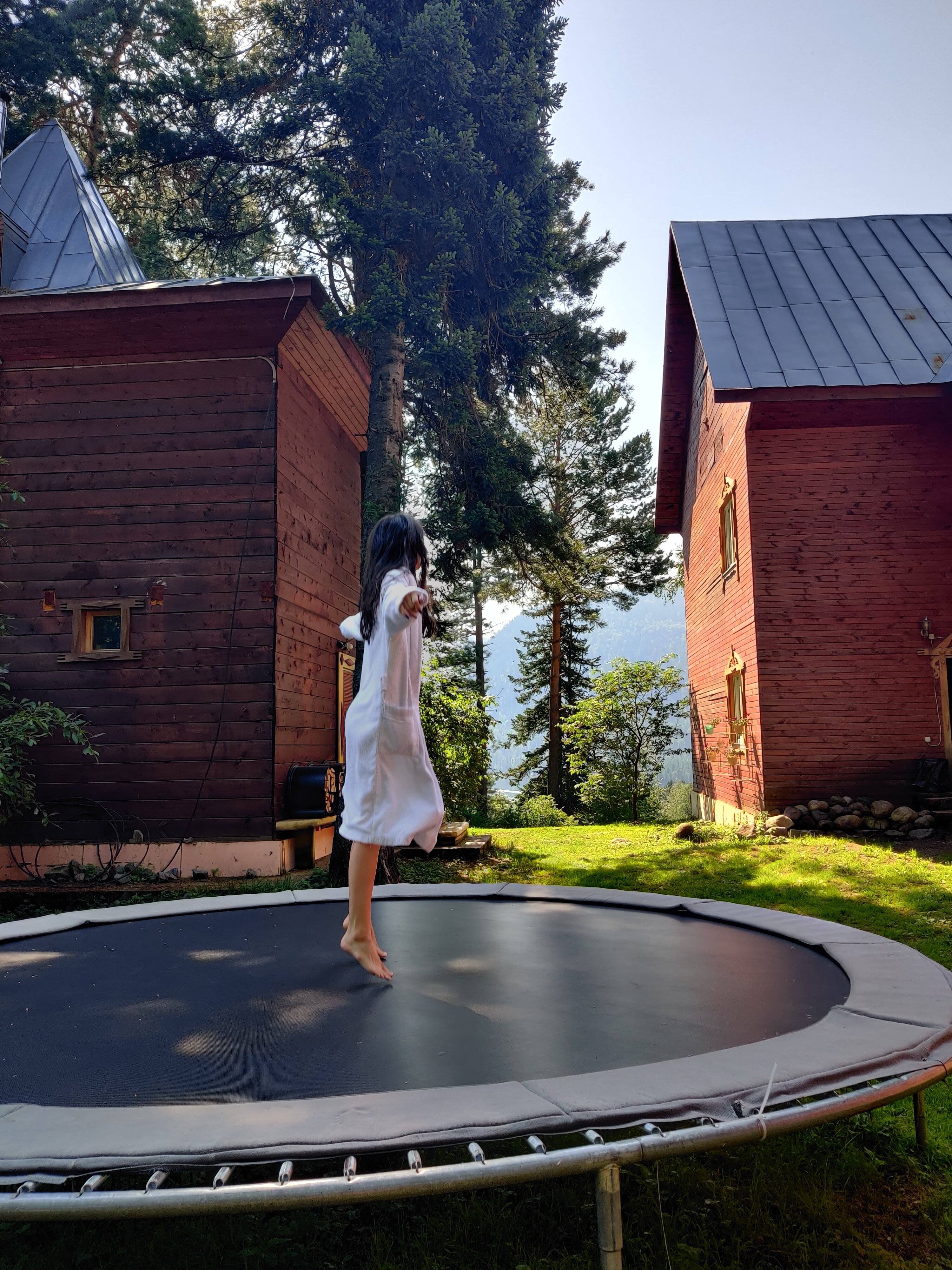 Фото Телецкие Терема