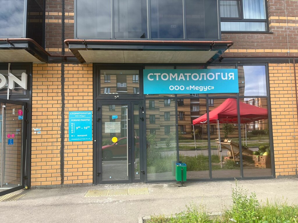 Dental clinic Medus, Tula, photo