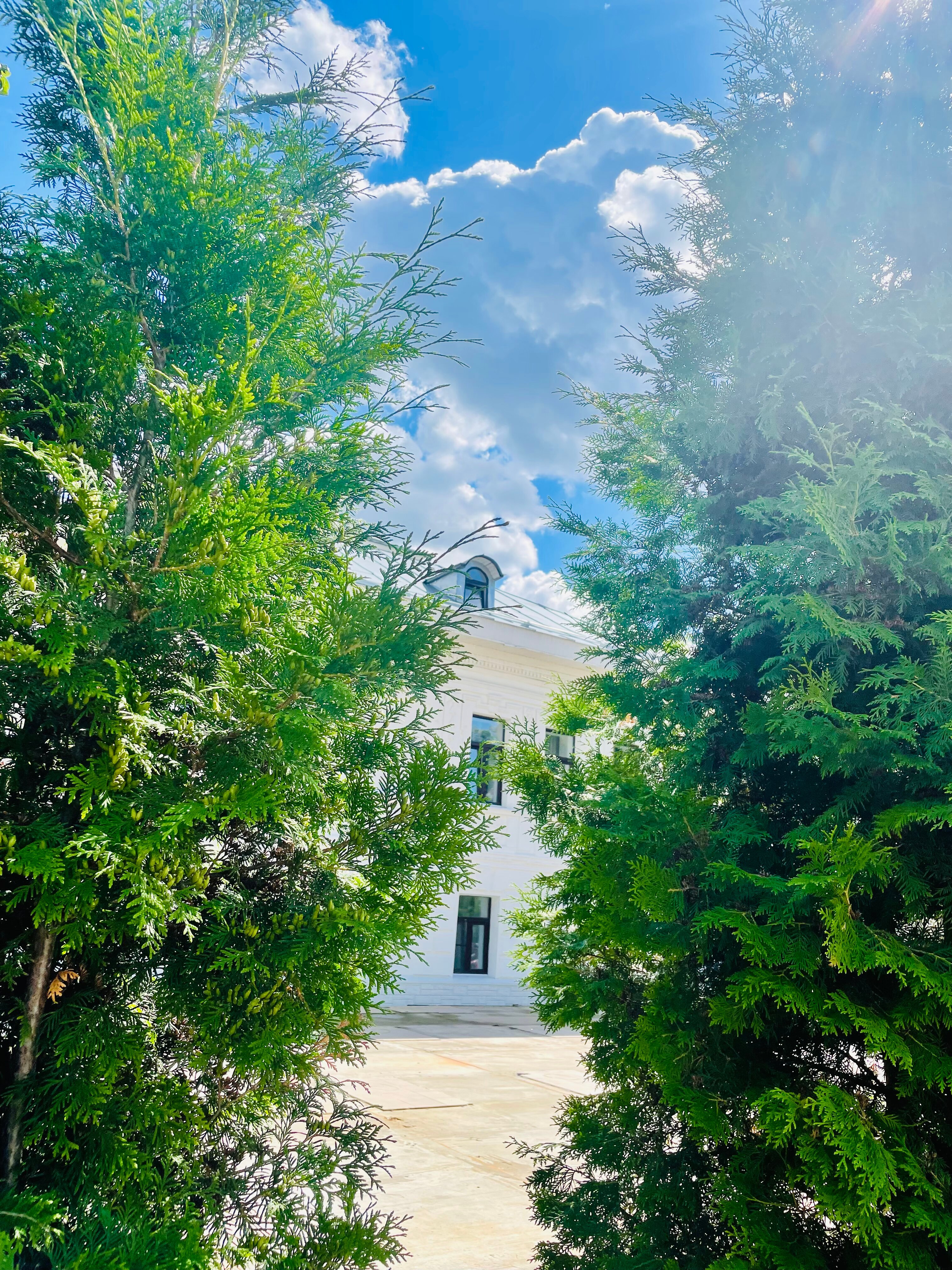 Фото Достоевский