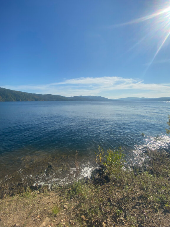 Фото На Шумихе