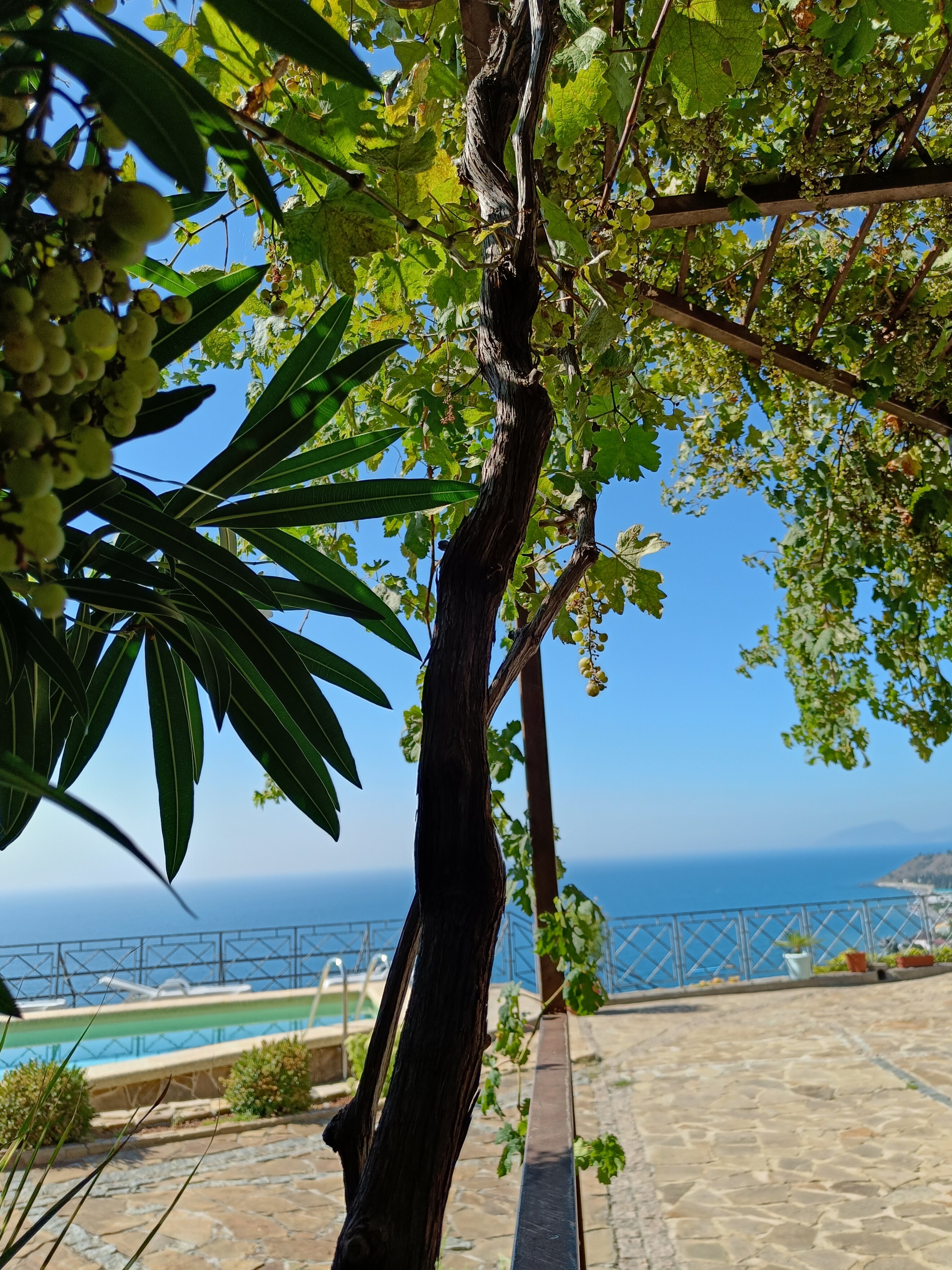 Фото Солнечный