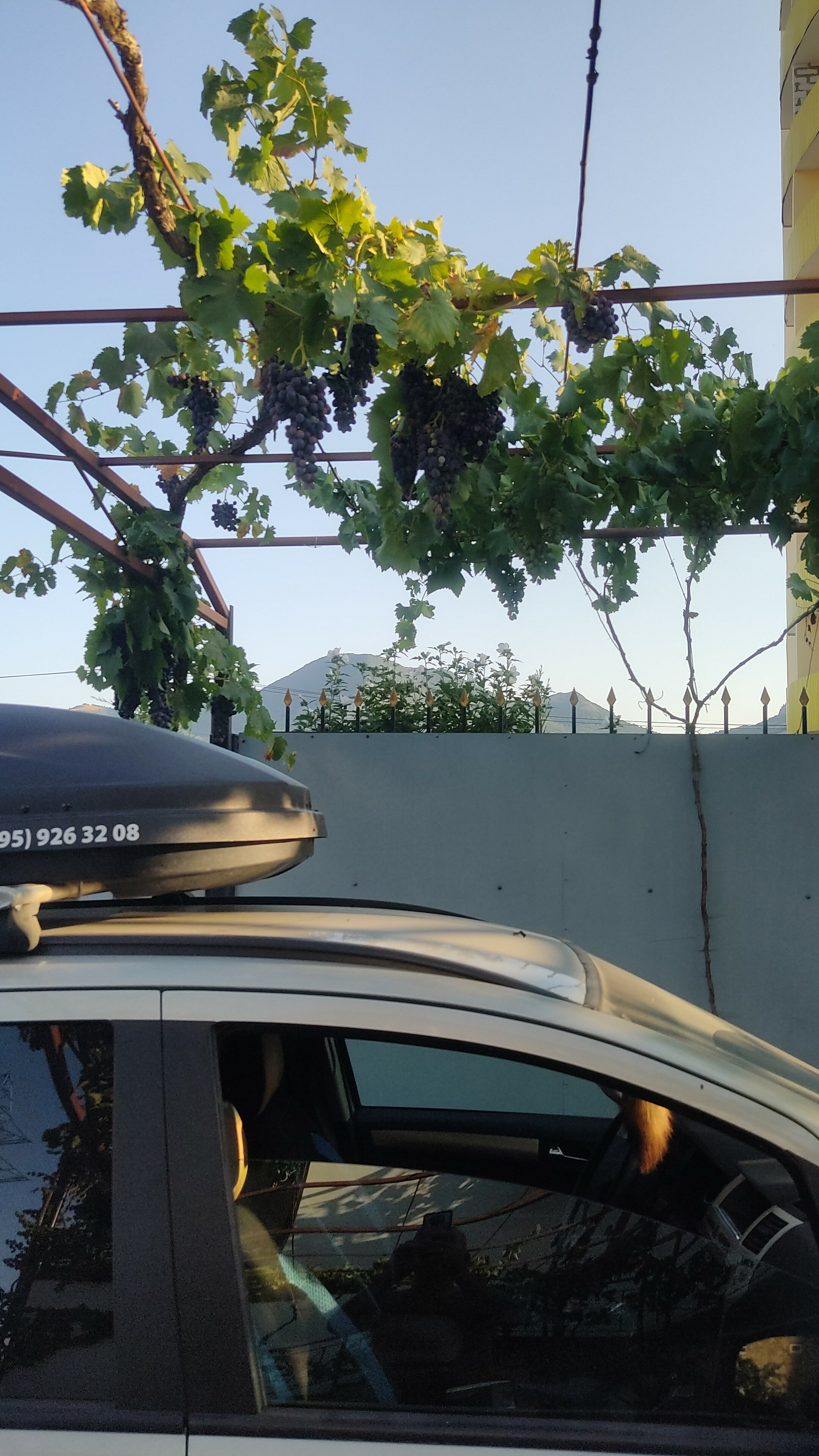 Фото Терем Ок