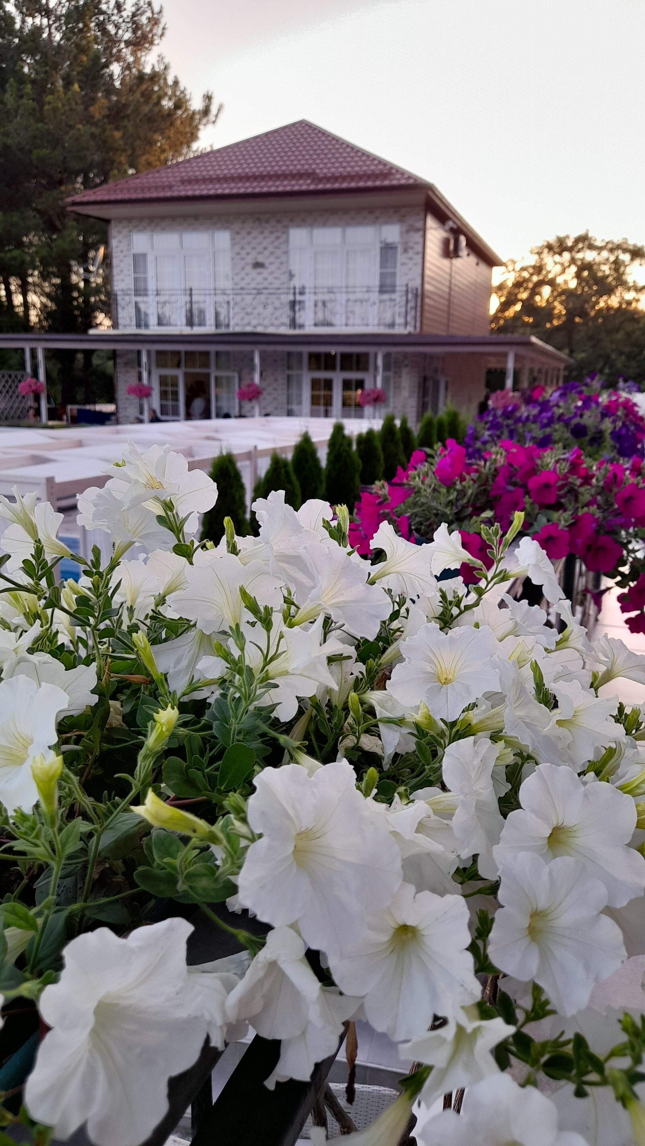 Фото Кромвель Вайт