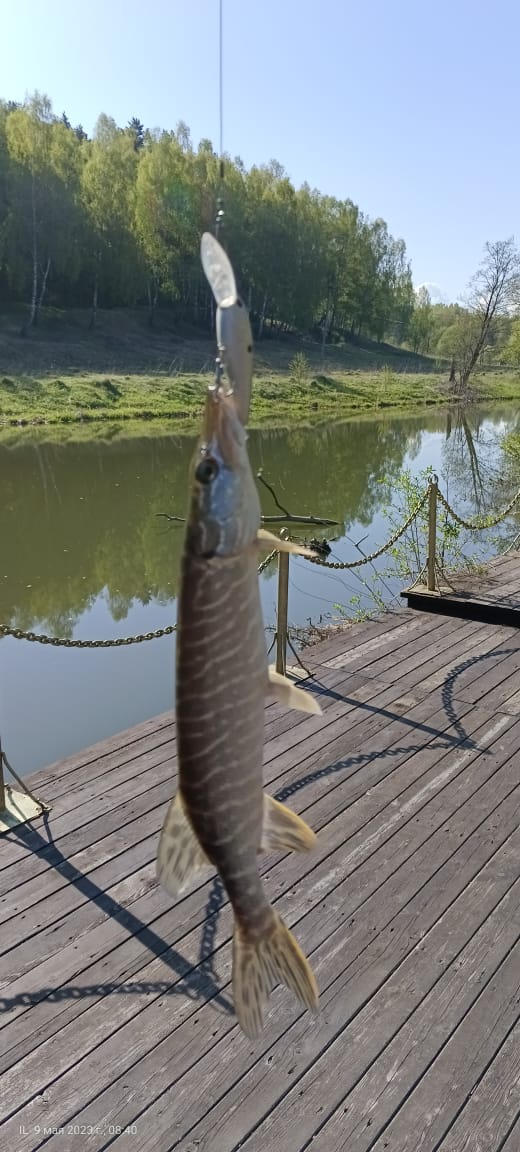 Фото Атлас Парк-отель