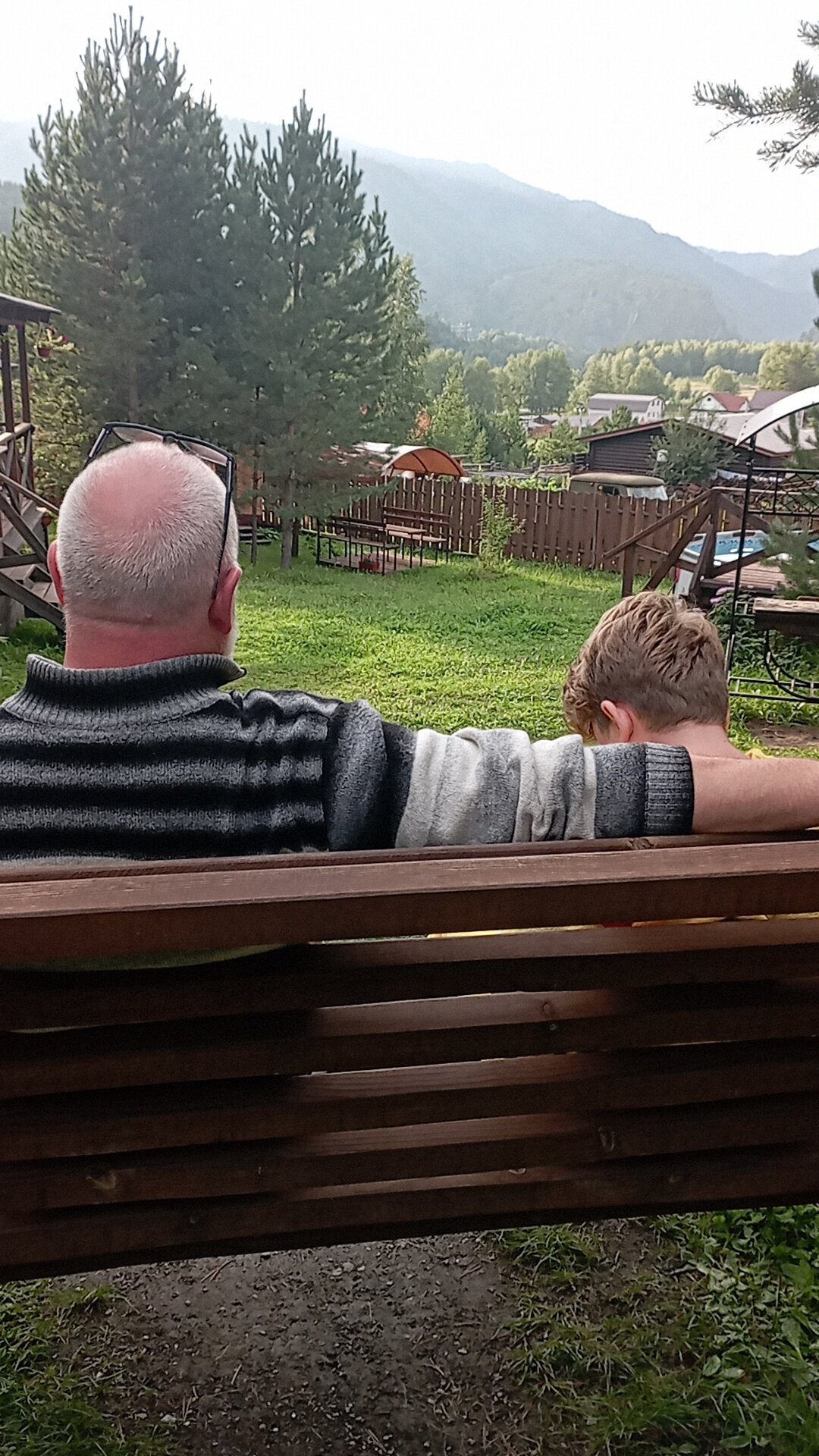 Фото Шишкин лес