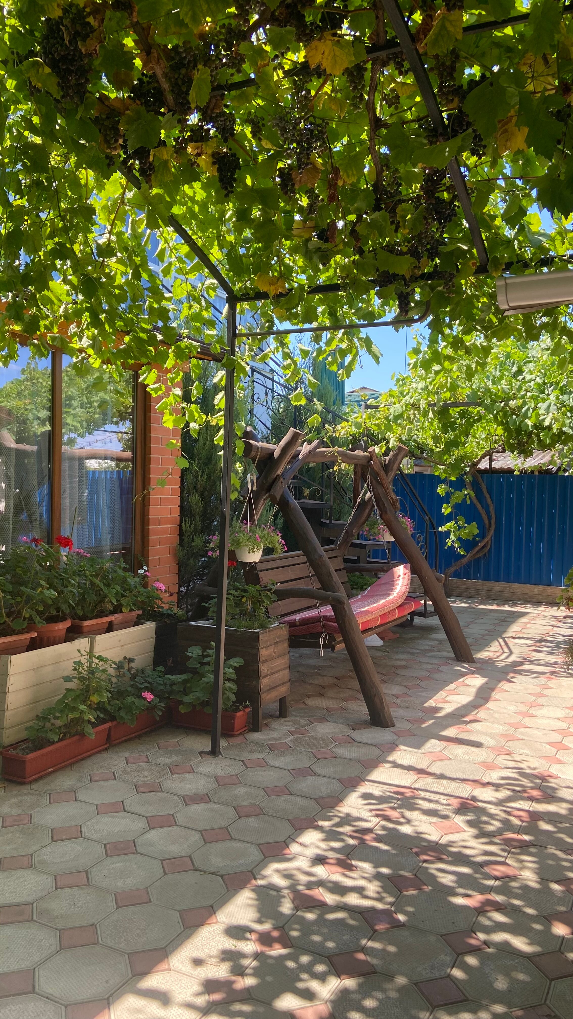 Фото Афалина