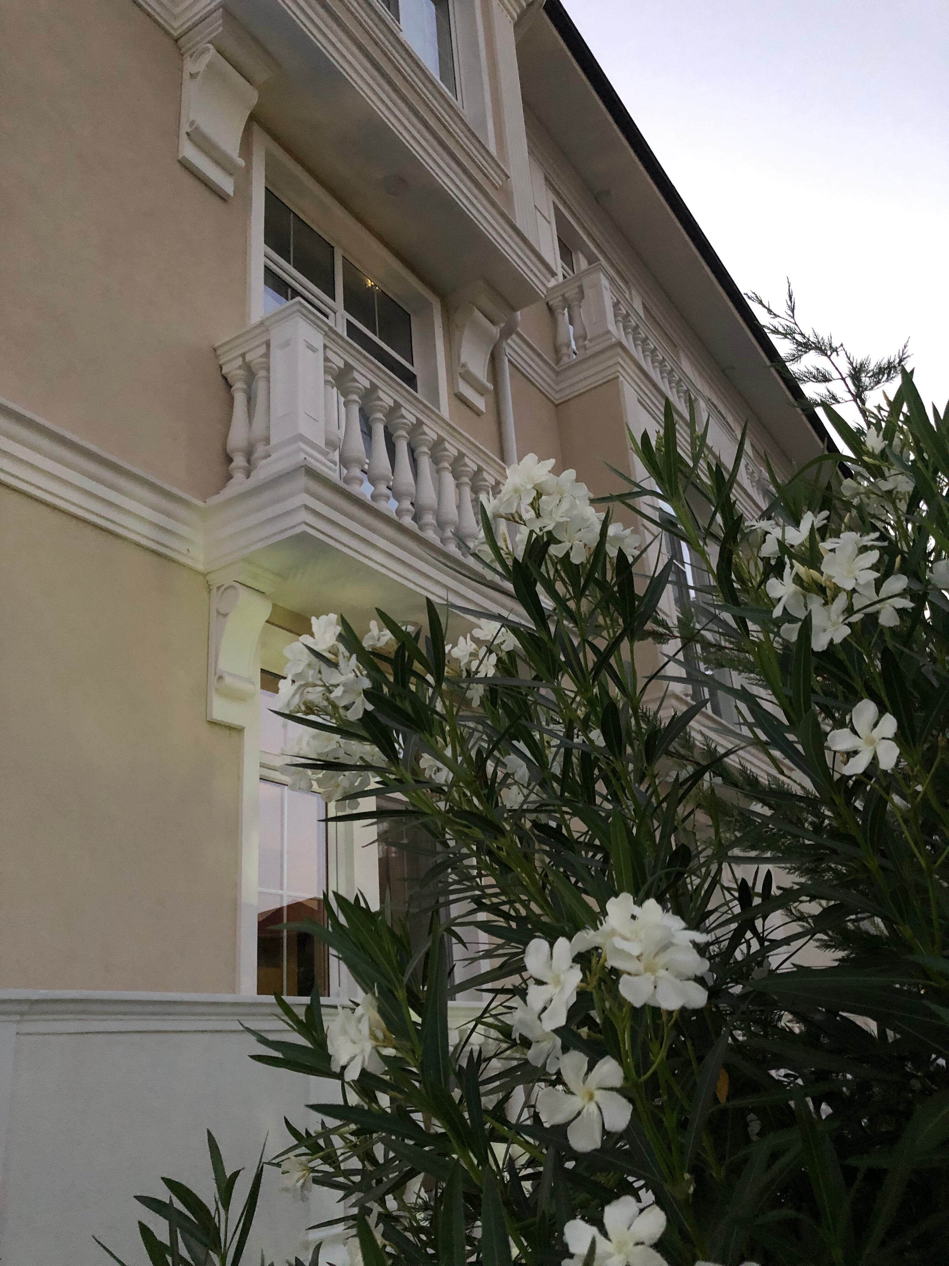 Фото The White Residence