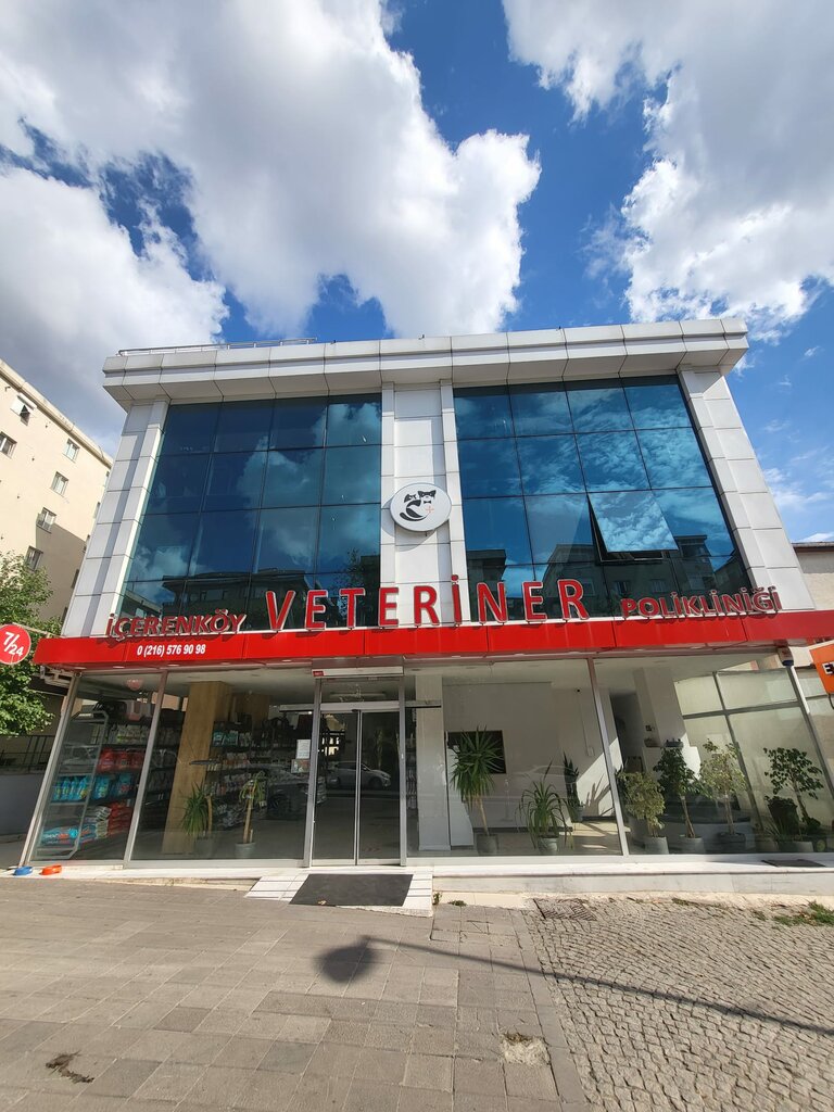 Veteriner klinikleri İçerenköy Veteriner Polikliniği, Ataşehir, foto