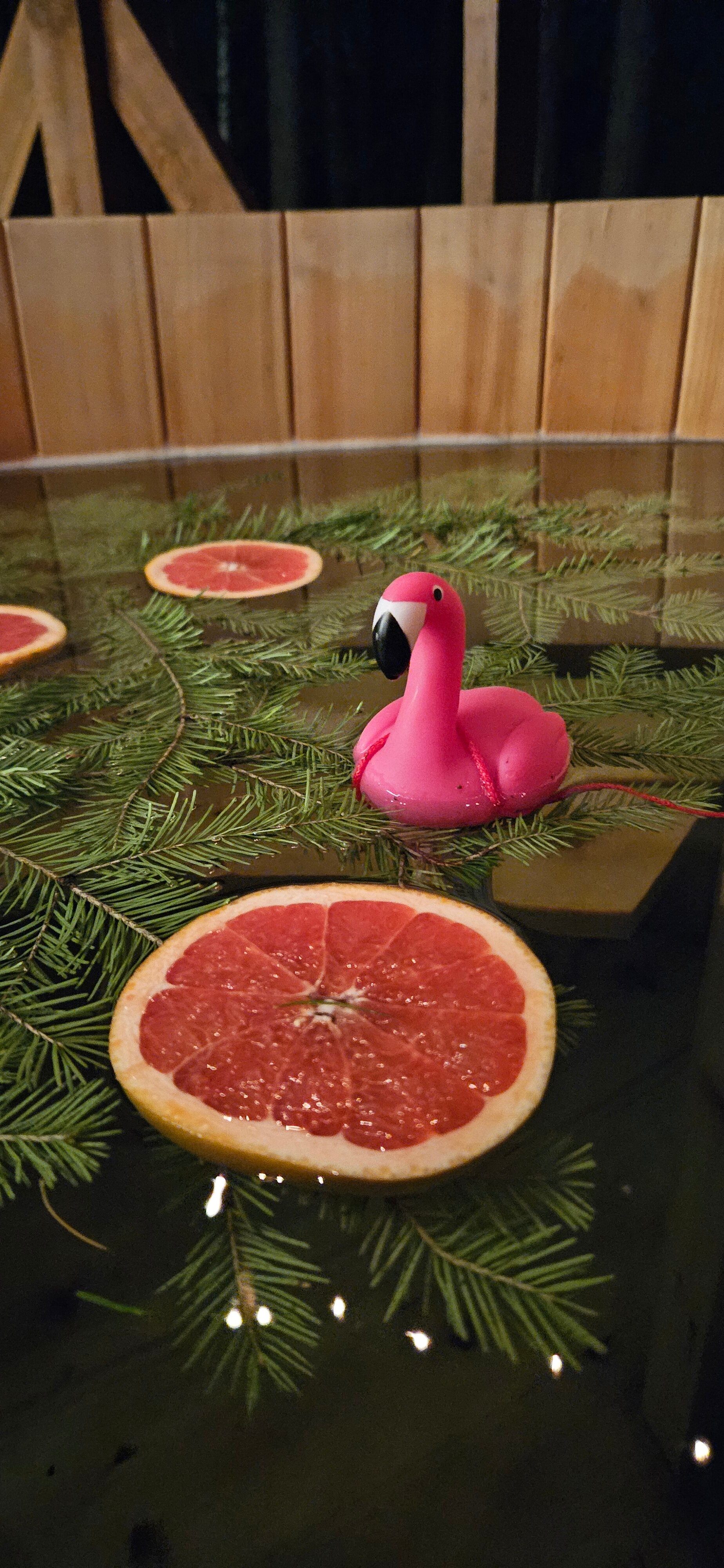 Фото Шелест Inn