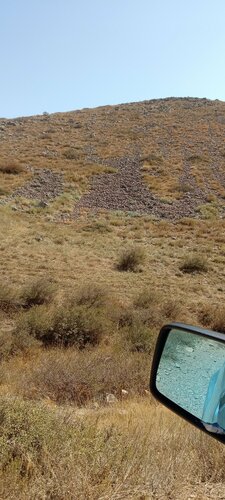 Байланған трусики Дик ауылы