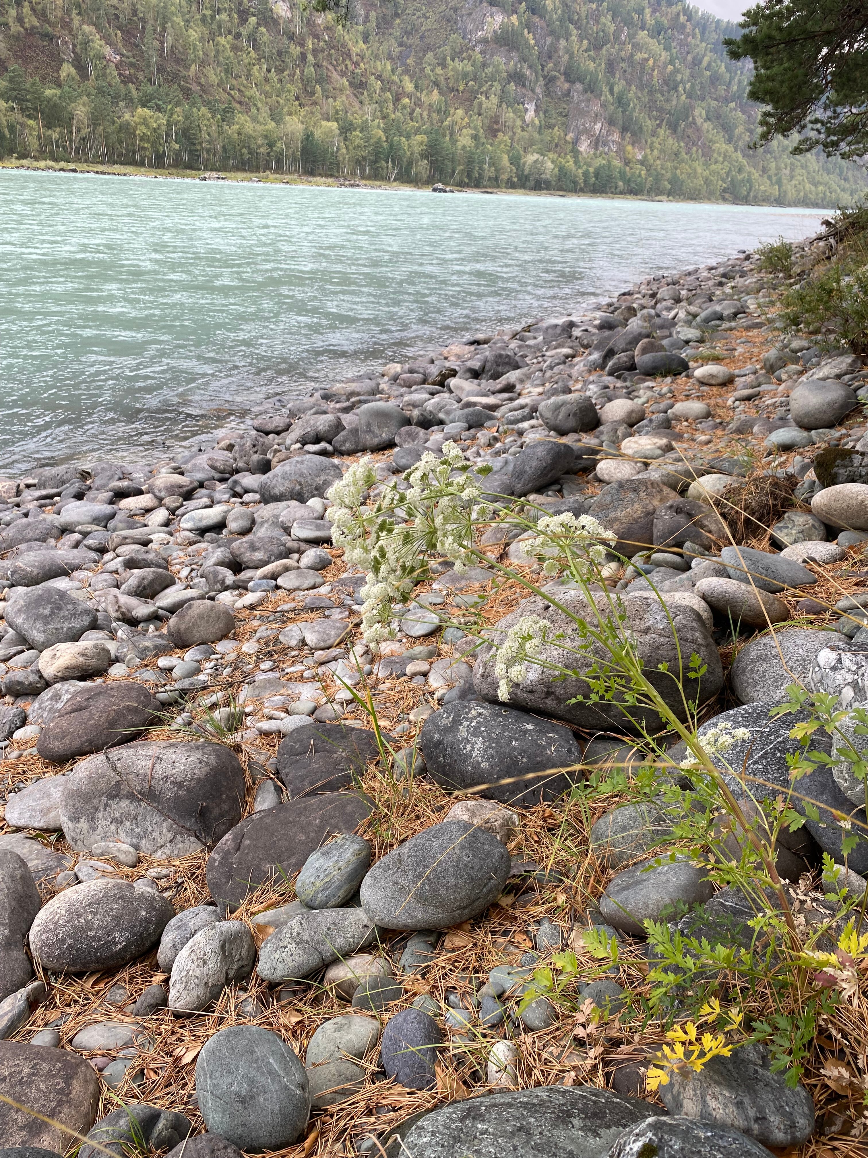 Фото Главные нарзанные ванны