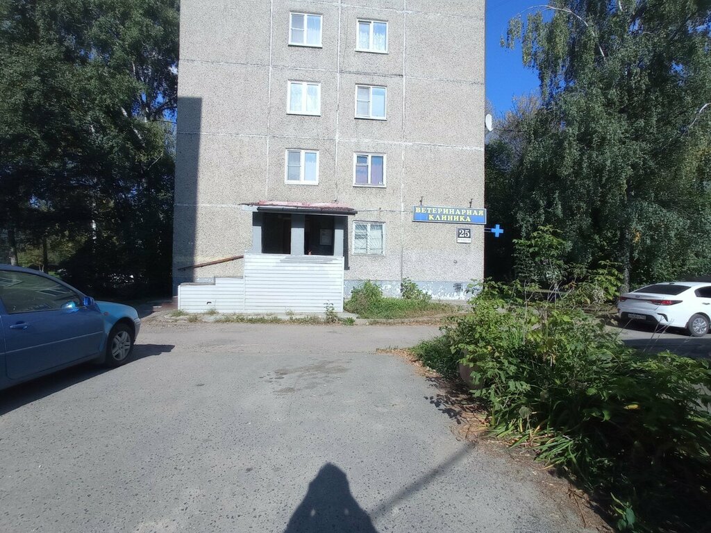 Алексвет комсомольская ул 65 фото