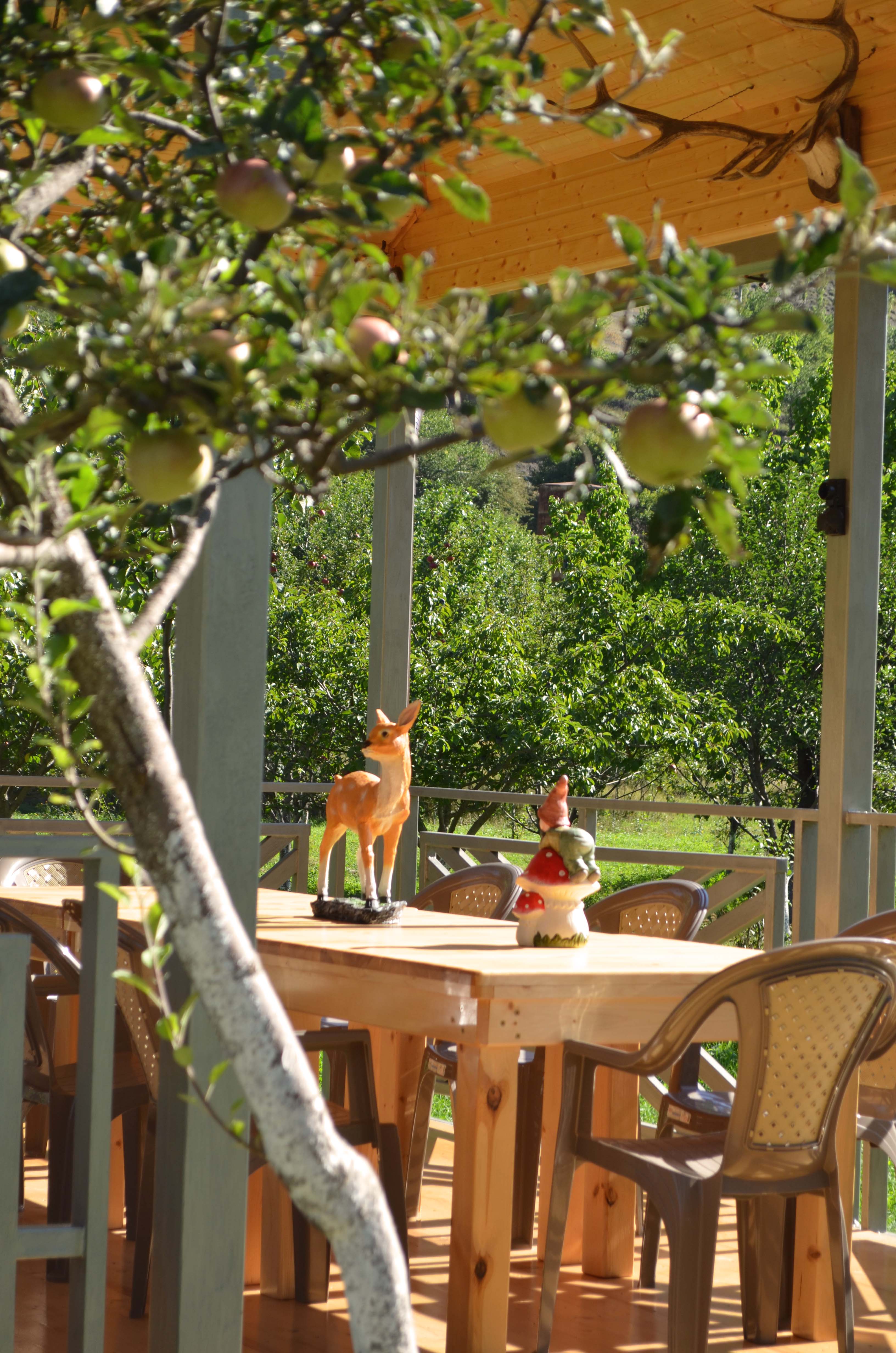 Фото Рагдан