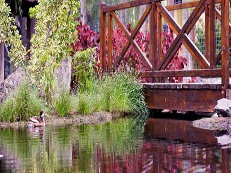 Фото Park Club Europe