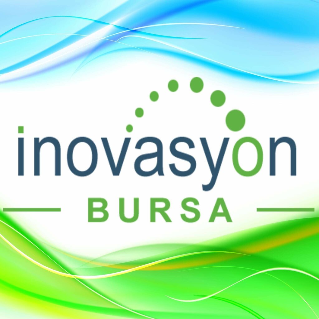 IT company Bursa Innovation Information Services, Istanbul, photo