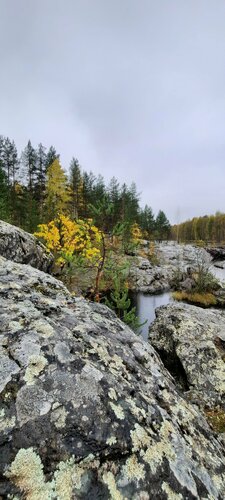 Konuk evi Zivica, Karelya, foto