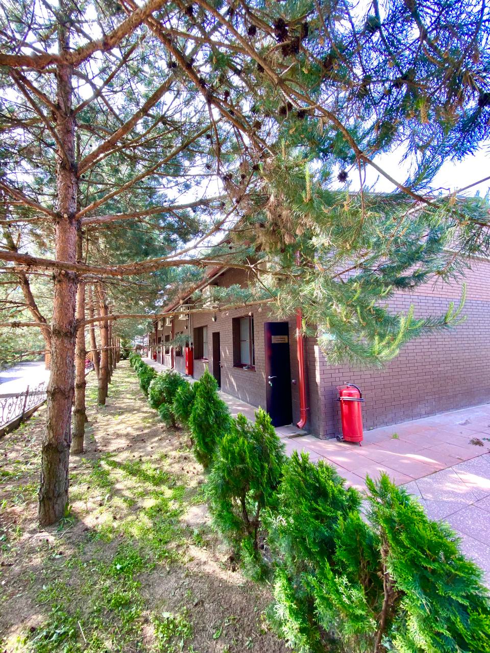 Фото Аватара