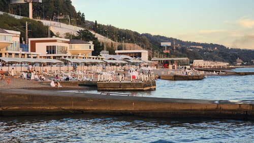 Lateks videolarda trannies