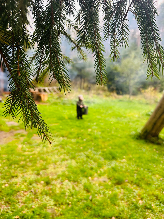 Фото Будда дом