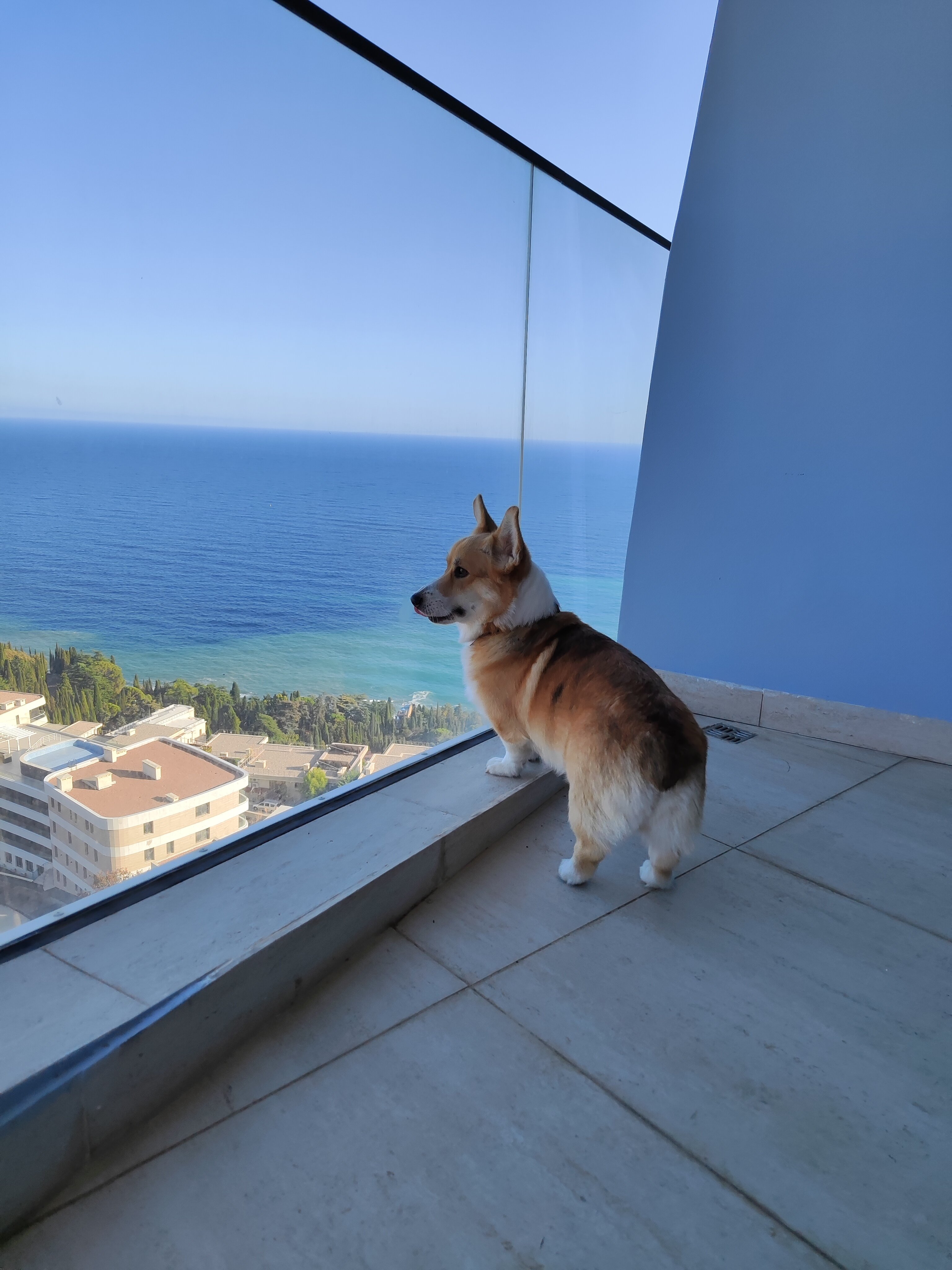 Фото Гурзуф Ривьера