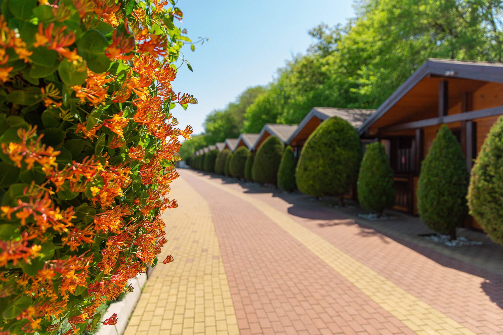 Фото Золотая бухта