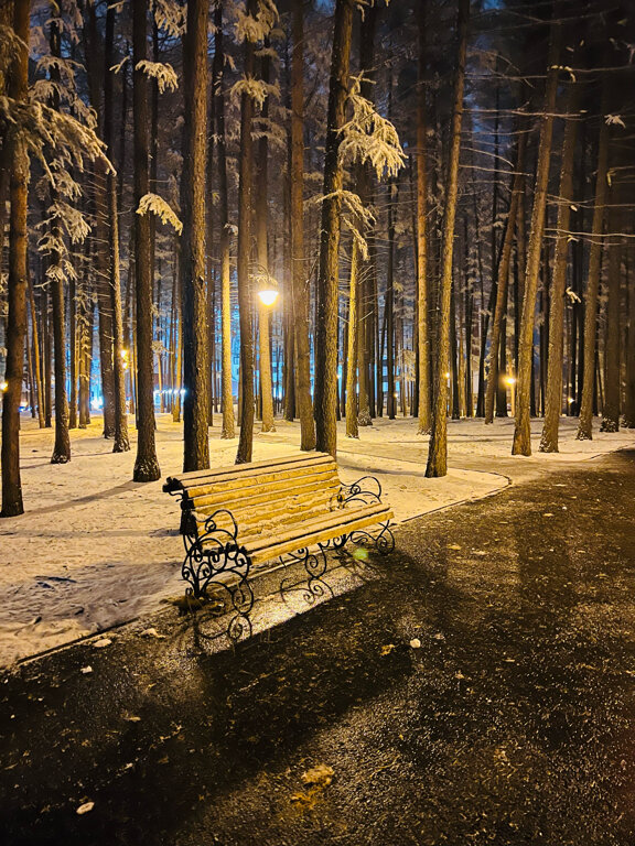 Фото Президент Отель