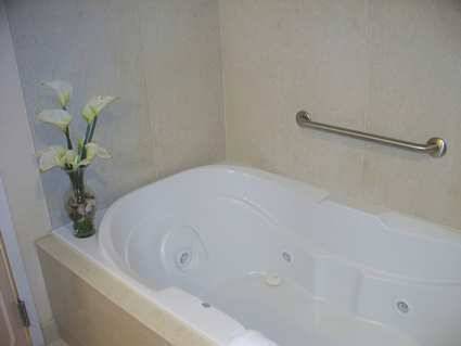 Фото Hilton Garden Inn Washington Dc/Greenbelt