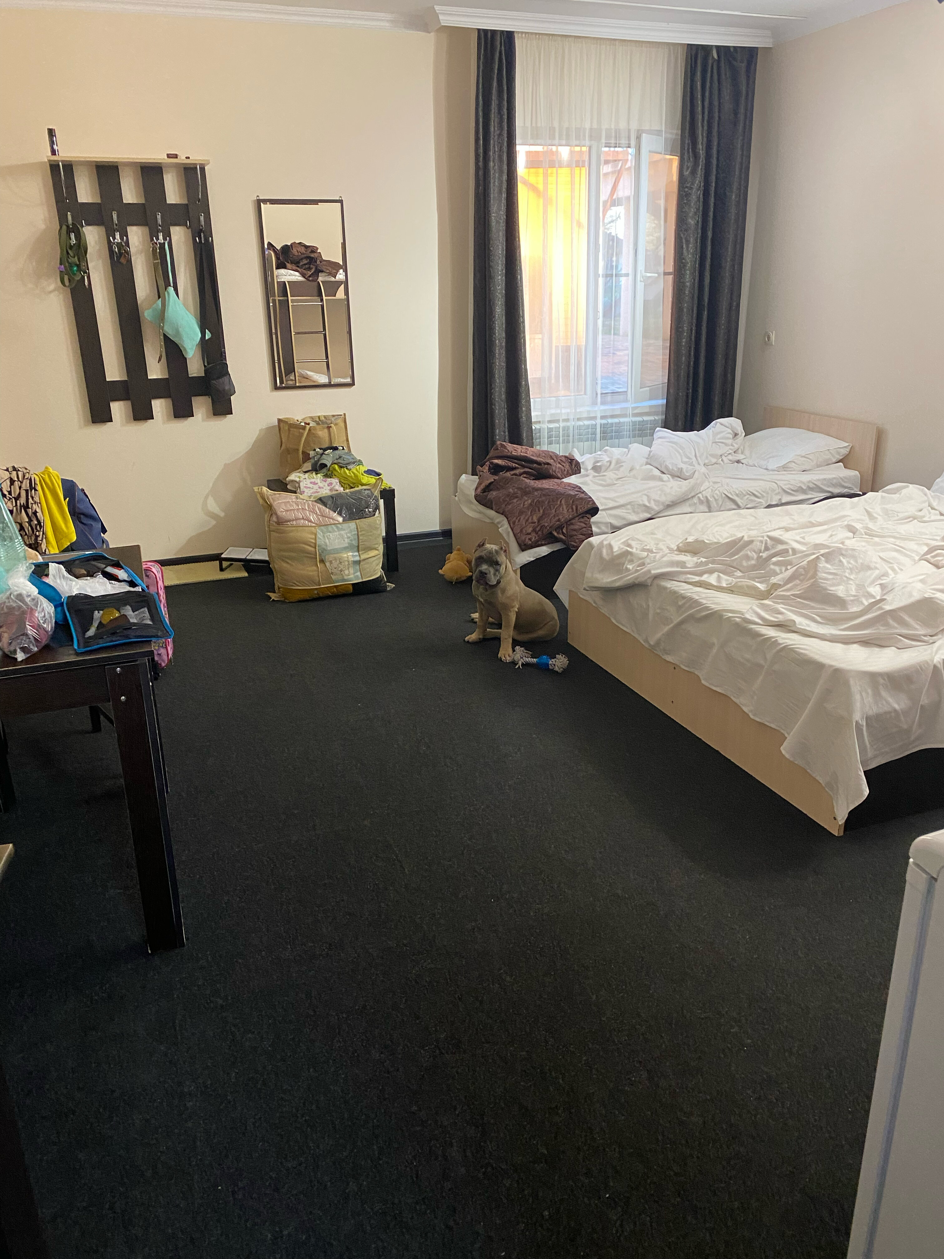 Фото Уютный Дворик