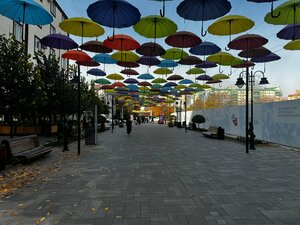 Sintem Premium