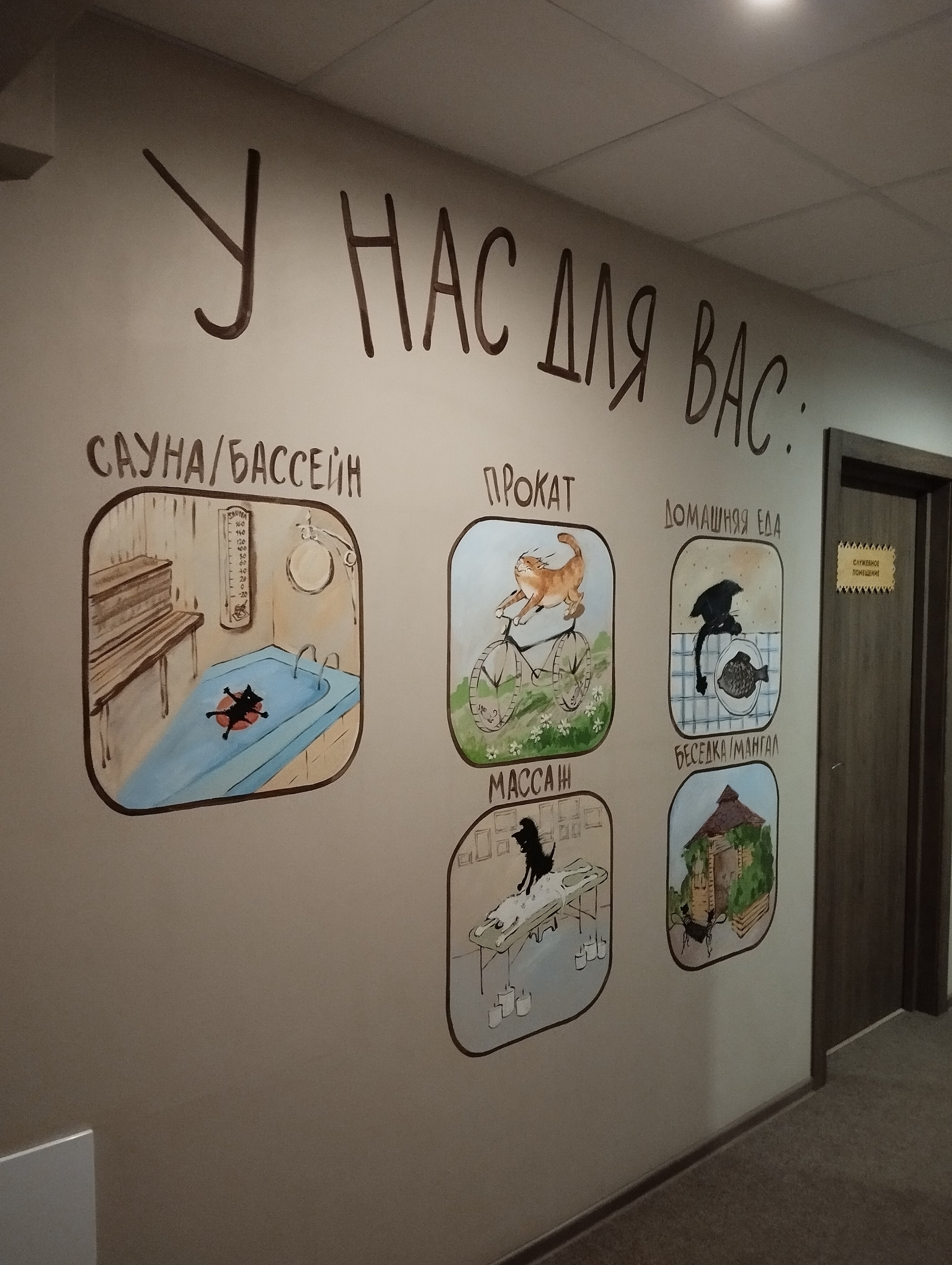 Фото Три кота