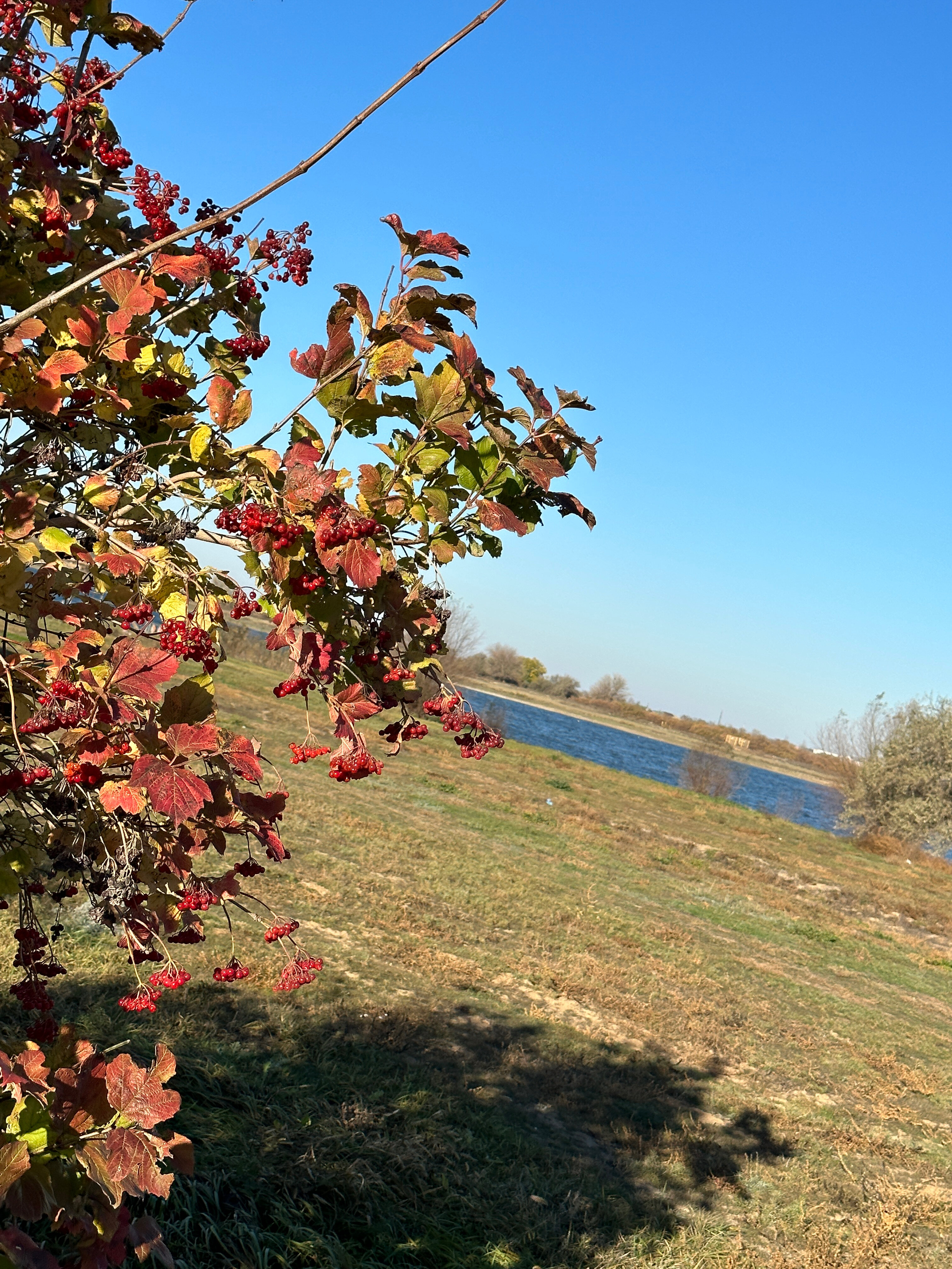 Фото Венеция на Каспии