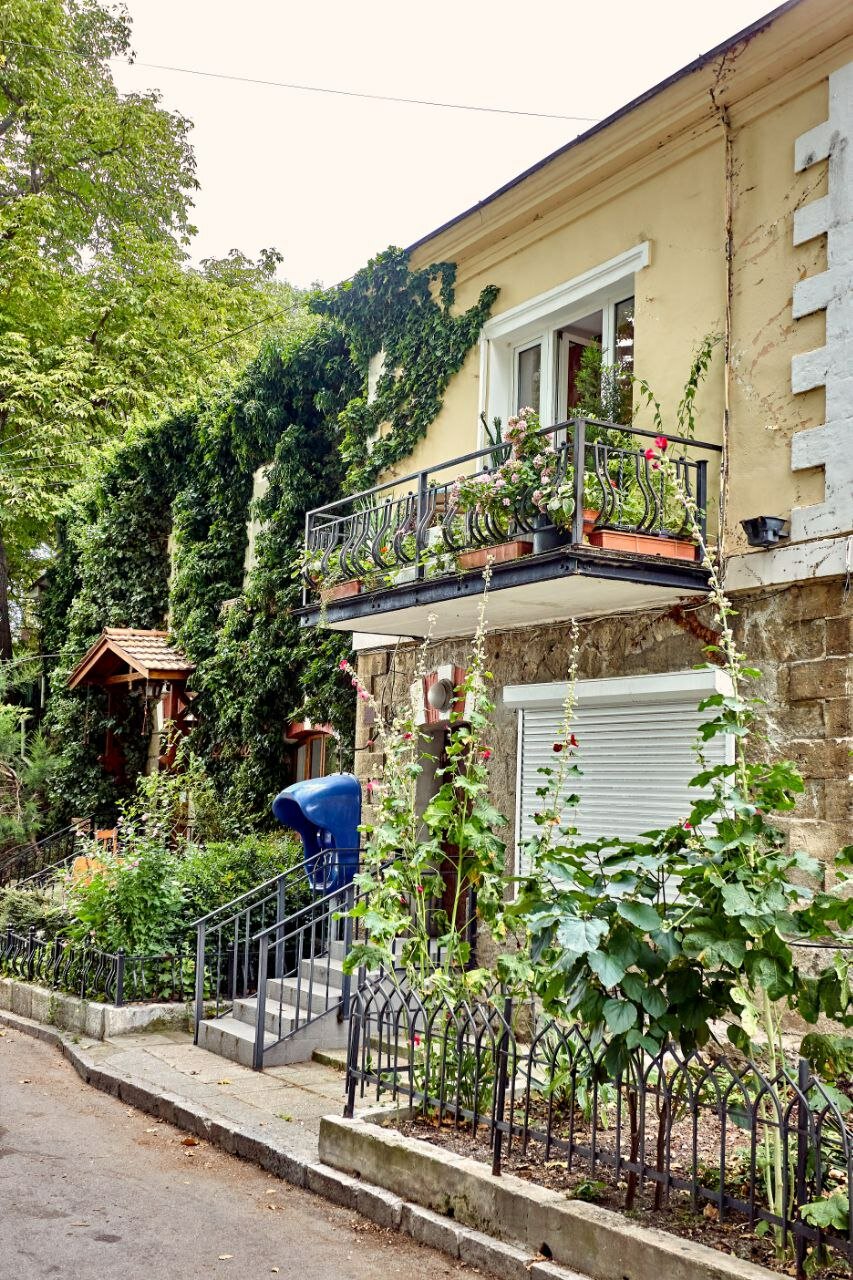 Фото отеля 5