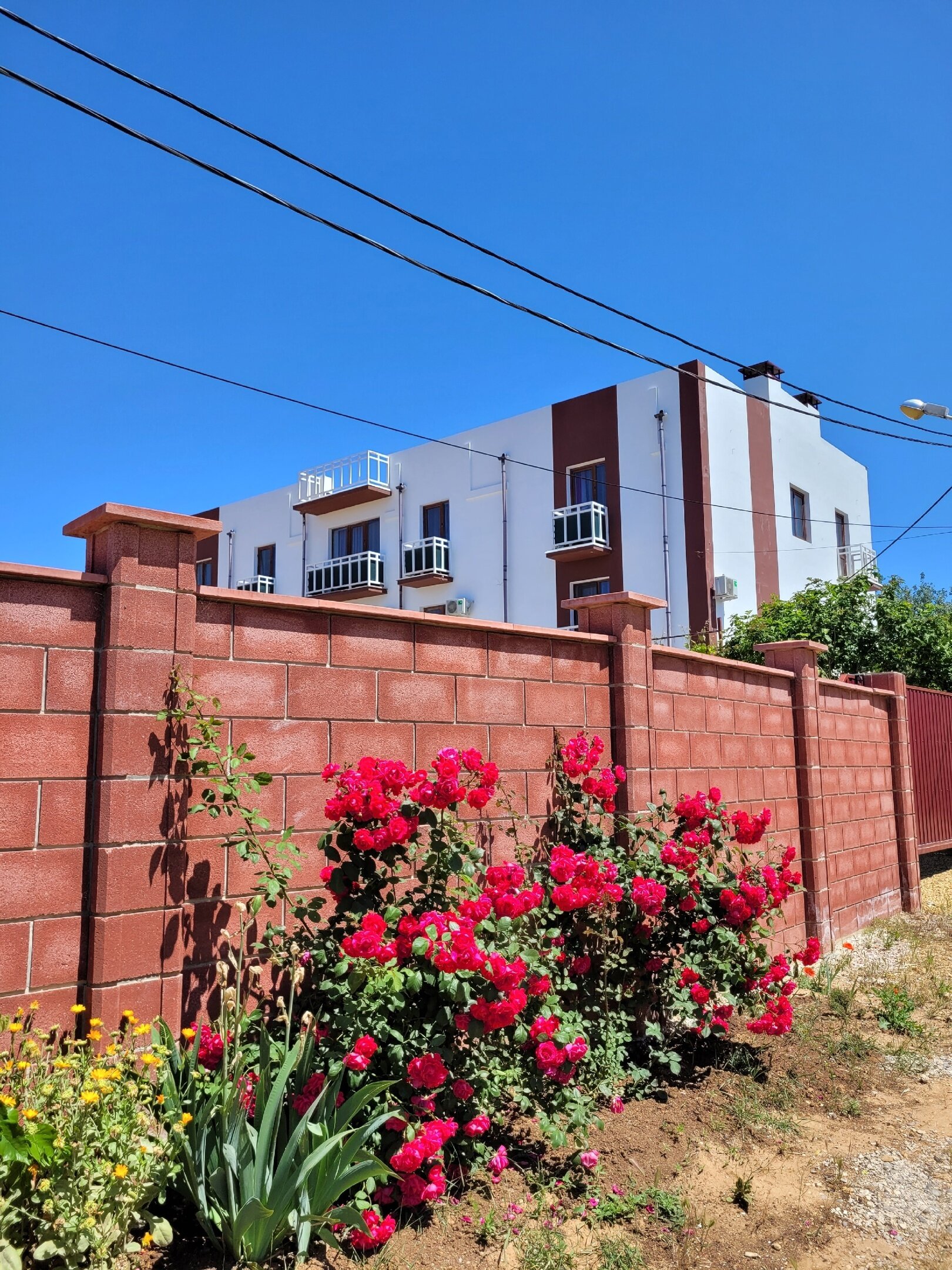 Фото Мерджан