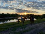 Конное подворье (posyolok Netyinka, Sovetskaya ulitsa, 3А), horse riding