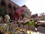 Paon Flowers (129, Al Khawaneej Street, Mushraif, Dubai), flower shop
