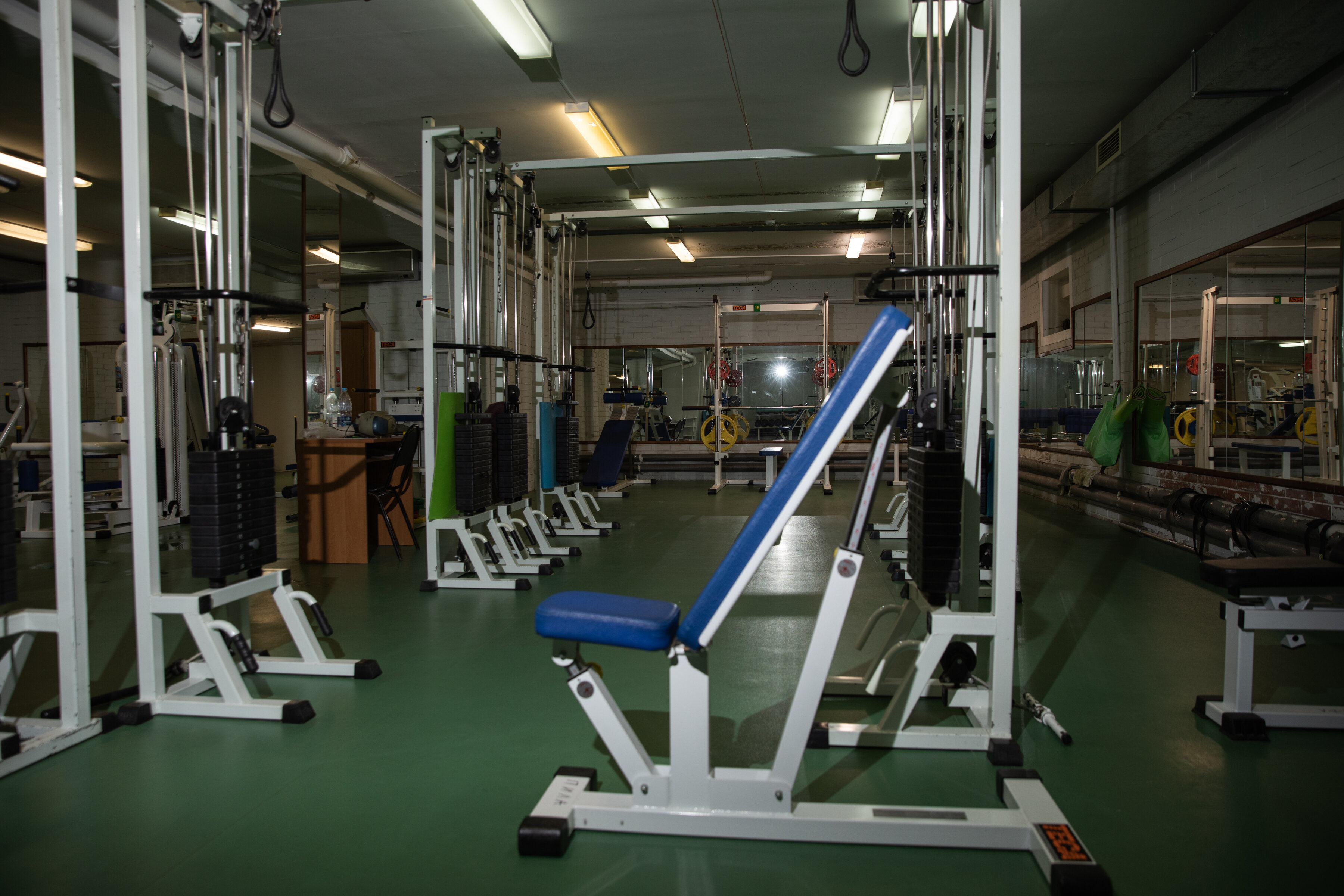 Фото Русский бор