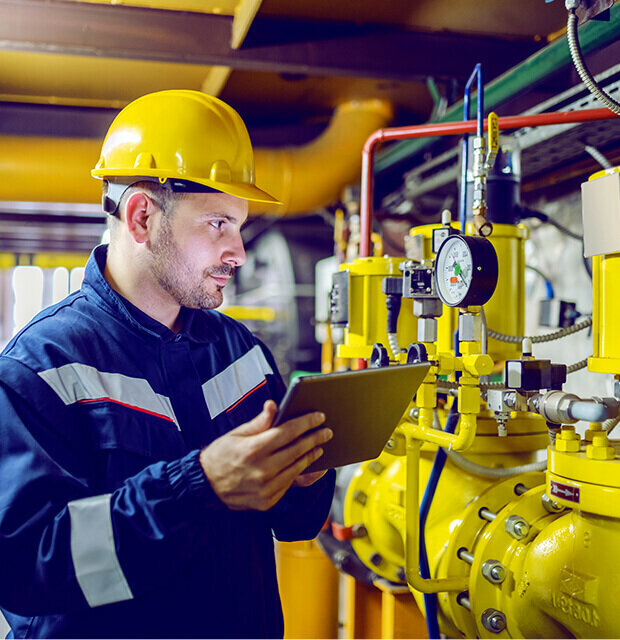 Oil and gas equipment Royal Development for Gas Works & Contracting, Abu Dhabi, photo