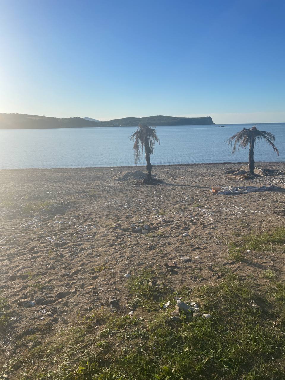 Фото Зелёная полянка