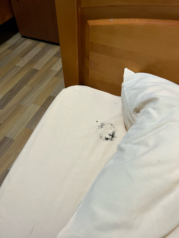 Фото Дружба