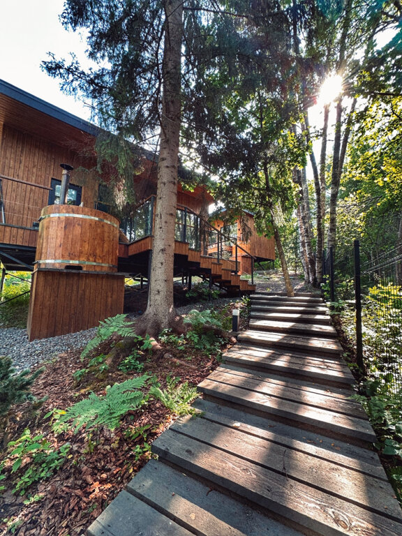 Фото Лесной восход