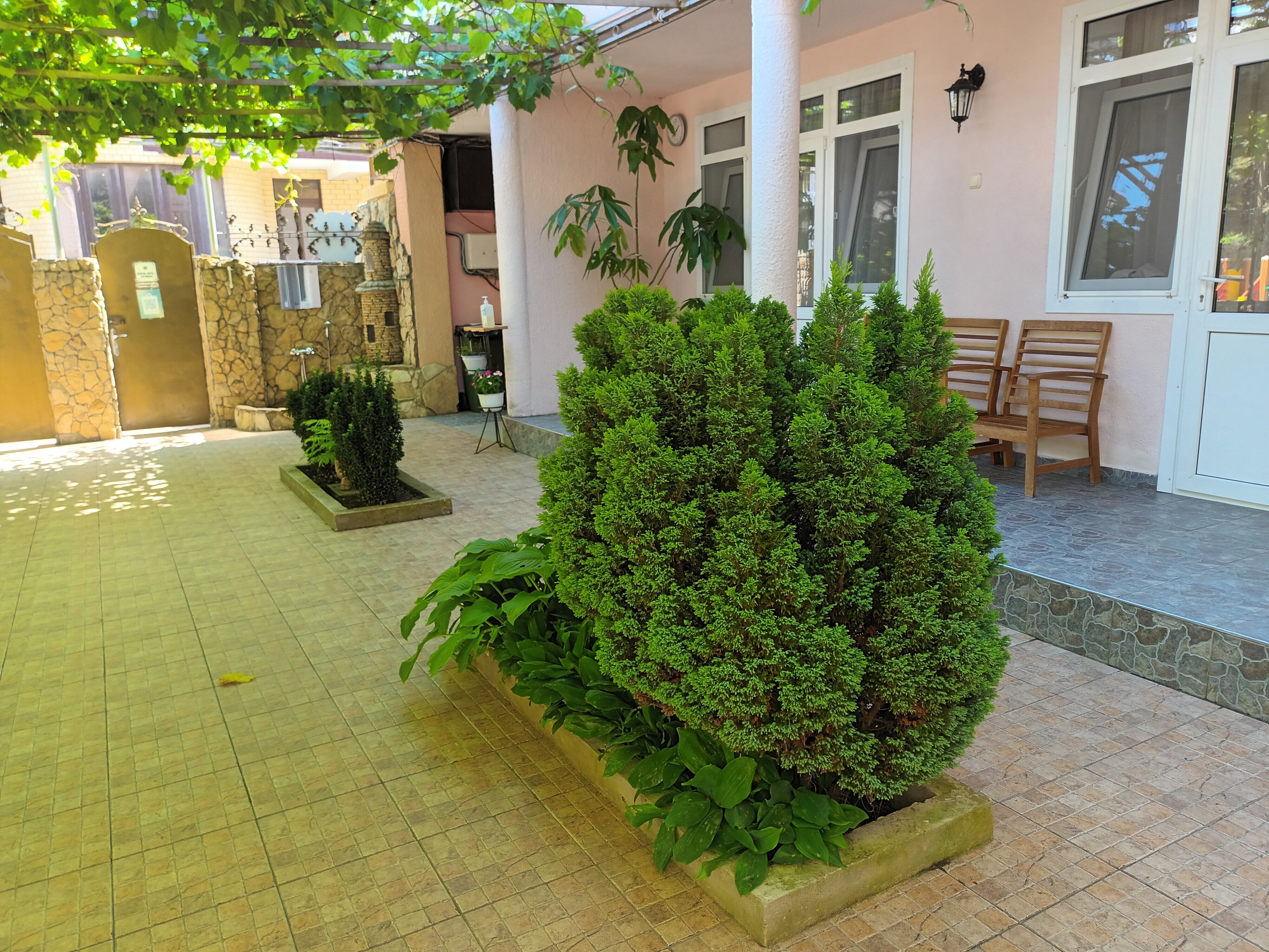 Фото Костас