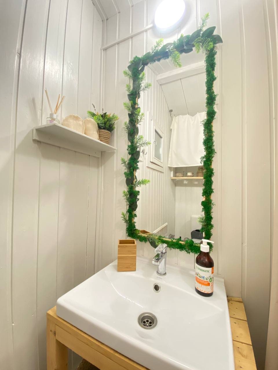 Фото TinyDacha можжевельник